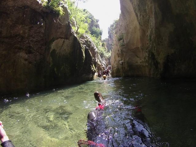 dentro de una poza de agua